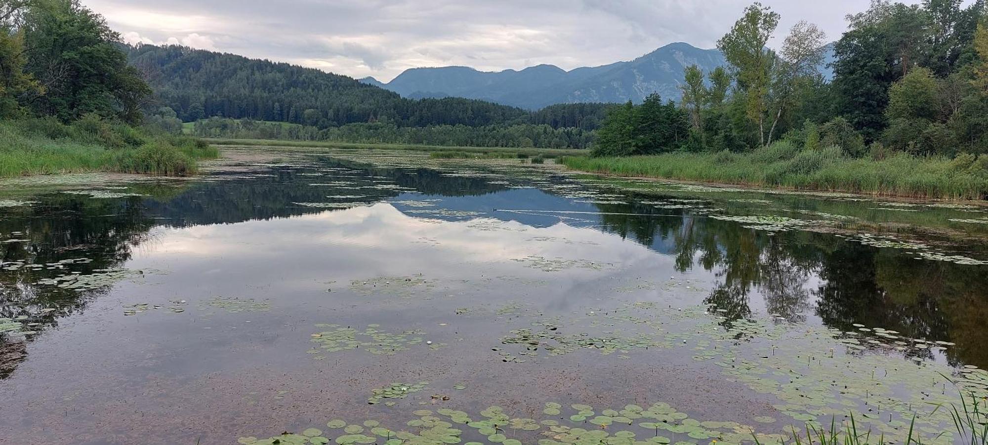 Ferienhaus Golfblick Grabelsdorf Eksteriør bilde